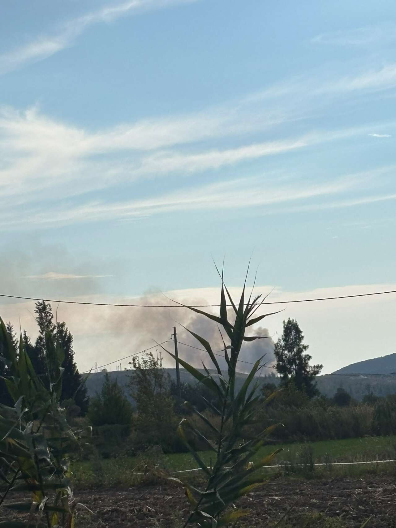 Bodrum-Milas Yolunda Zeytinlik Alanda Yangın, Ekipler Bölgeye Sevk Edildi 2